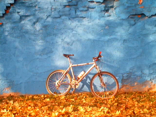 rob's bike in fall