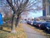 view from Amherst & Rene L.