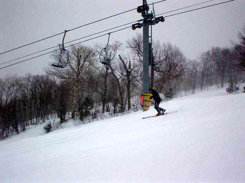 DSC00317